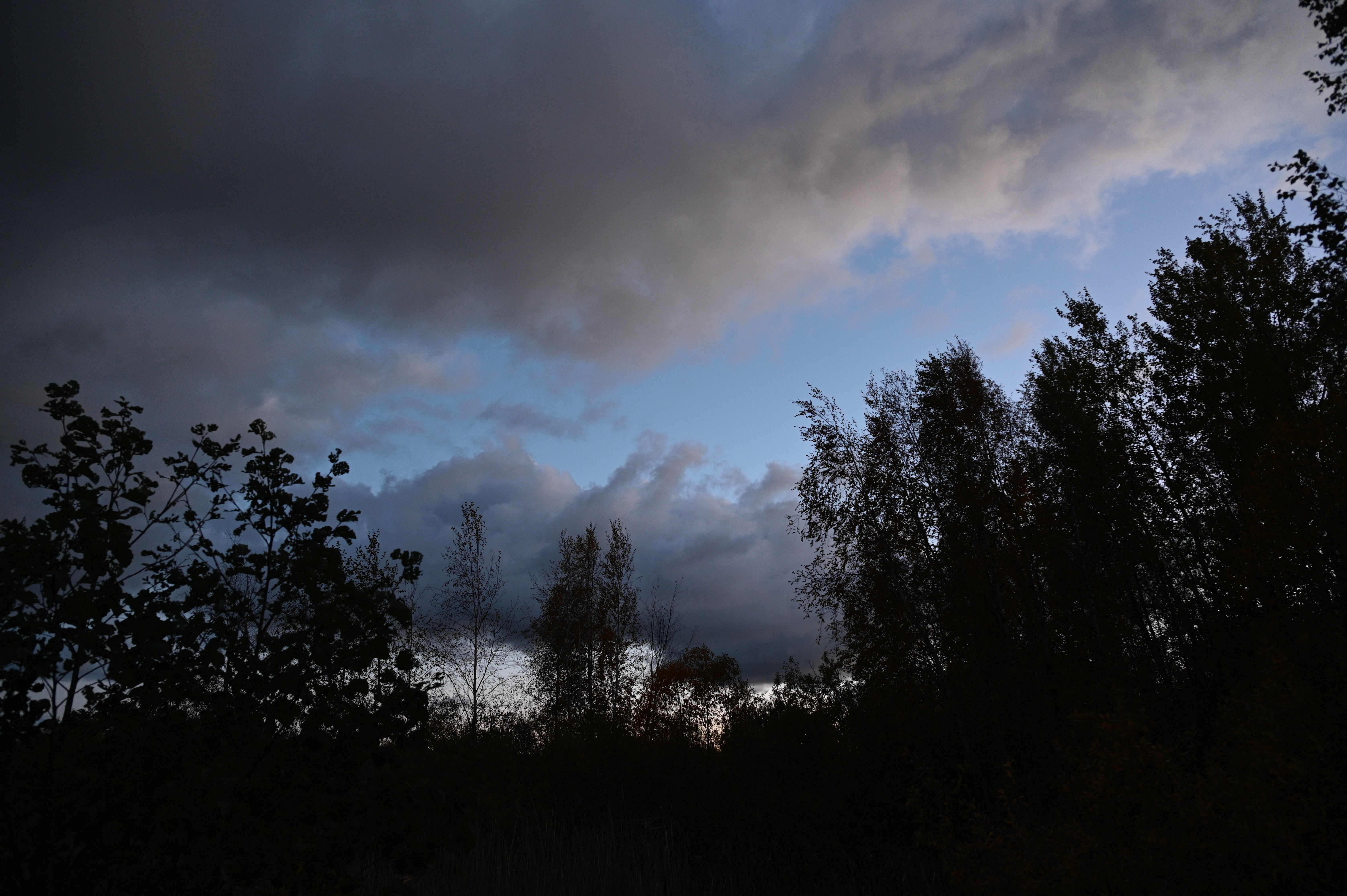 2025/10/18 - walk/DSC_0602.JPG